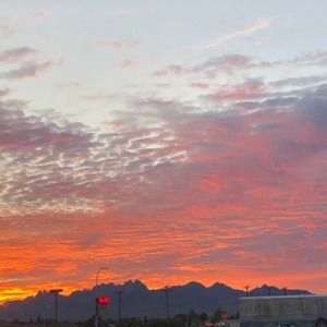 Meet your Posher, Xoee